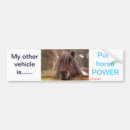 Search for pony bumper stickers Shetland