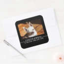 Search for funny chihuahua stickers Cute