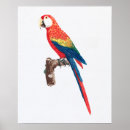 Search for vintage parrot posters Tropical