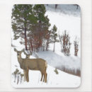 Search for mountain mousepads Computer