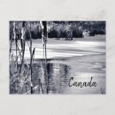Search for winter white postcards Black and white