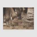 Search for horse tissue paper Western