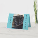 Search for black cat birthday cards Cute cats