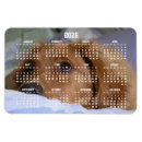 Search for doglover magnets Puppy