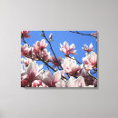 Search for magnolia art Nature