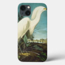Search for audubon ipad cases Biology