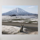 Search for shiba inu posters Cute