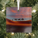 Search for desert christmas tree decorations Nature