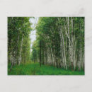 Search for canvas postcards Landscape