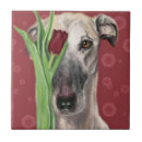 Search for collectable tiles Flower