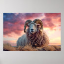 Search for ram posters Nature