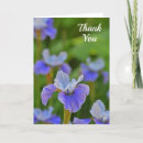Search for iris flower cards Blue