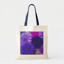 Search for gerbera bags Daisies