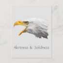 Search for alertness Animal