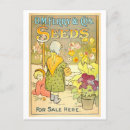 Search for gladiola postcards Vintage