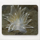 Search for scuba diving mousepads Underwater