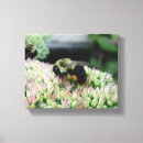 Search for honey bee canvas prints Beautiful
