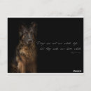 Search for dog quotes postcards Dogs