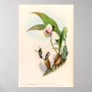 Search for vintage biology posters Nature