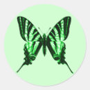 Search for vintage butterfly stickers Green