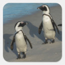 Search for boulder stickers Nature