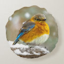Search for bluebird cushions Snow