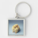 Search for guinea pig key rings Animals
