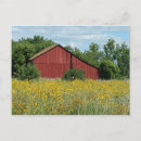 Search for red barns postcards Field