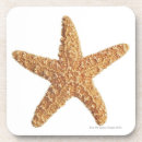 Search for creatures barware Sealife