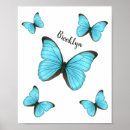 Search for morpho posters Butterfly
