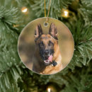 Search for german shepherd christmas tree decorations Puppy