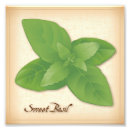 Search for basil posters Italian