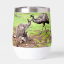 Search for resting barware Wildlife