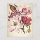 Search for country decor postcards Botanical