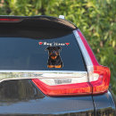 Search for rottweiler bumper stickers Puppy