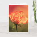 Search for flower background cards Orange