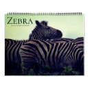 Search for zebra calendars Safari