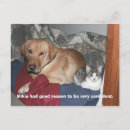 Search for confident postcards Funny