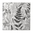 Search for white fern tiles Botanical
