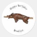 Search for roast stickers Barbecue