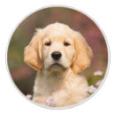 Search for dogs knobs and pulls Puppy