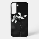 Search for dark basic photography Nature