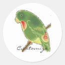 Search for parakeet stickers Wildlife