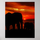 Search for safari sunset posters Animals