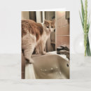 Search for cat lover birthday cards Funny