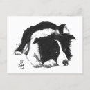 Search for collies invitations Black and white