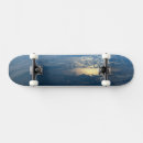 Search for sunlight skateboards Aerial view