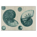 Search for crackle home living Sepia seashell