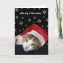 Search for cute cat christmas cards Festive