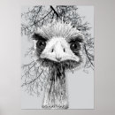 Search for flightless bird posters Nature